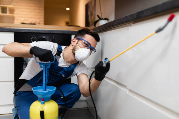 Best Pest Prevention Services  in Fairmount, GA
