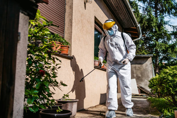 Best Rodent Control Near Me  in Fairmount, GA