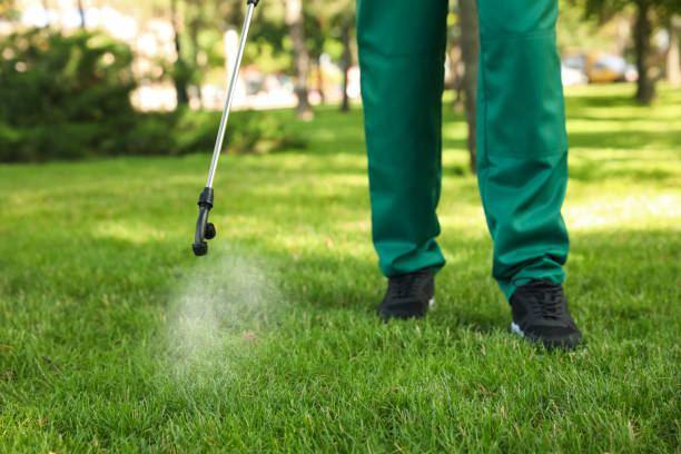 Best Flea Control Services  in Fairmount, GA