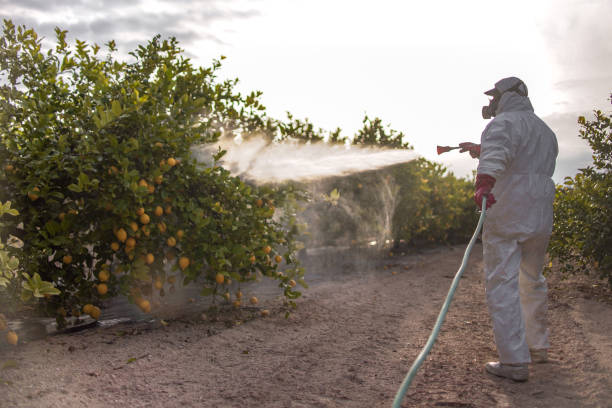  Fairmount, GA Pest Control Pros