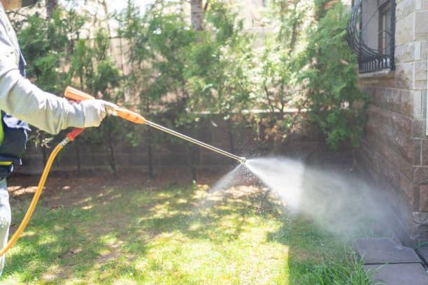 Best Pest Inspection Near Me  in Fairmount, GA