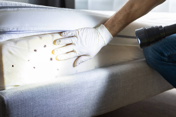 Best Best Pest Control Companies  in Fairmount, GA