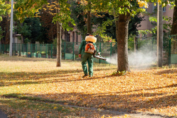 Bird Control in Fairmount, GA