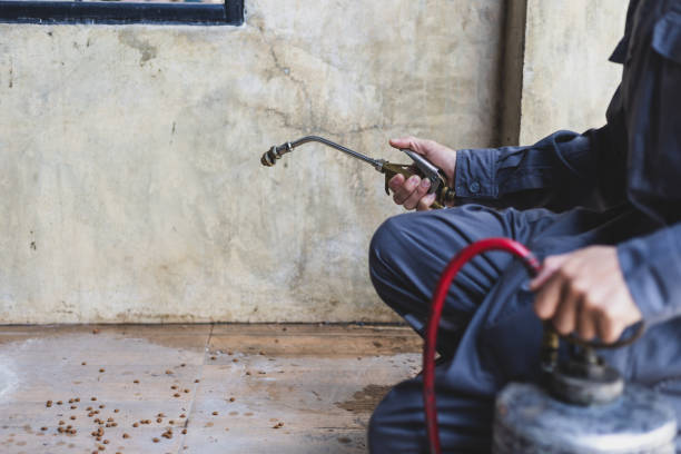Best Residential Pest Control  in Fairmount, GA