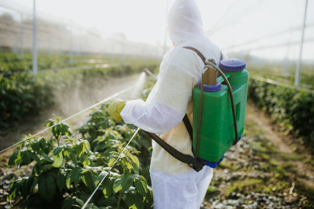Pest Prevention Services in Fairmount, GA